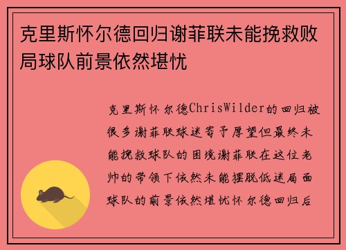 克里斯怀尔德回归谢菲联未能挽救败局球队前景依然堪忧