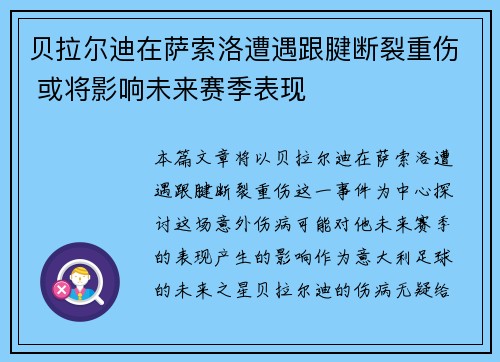 贝拉尔迪在萨索洛遭遇跟腱断裂重伤 或将影响未来赛季表现 贝拉尔迪在萨索洛遭遇跟腱断裂重伤 或将影响未来赛季表现